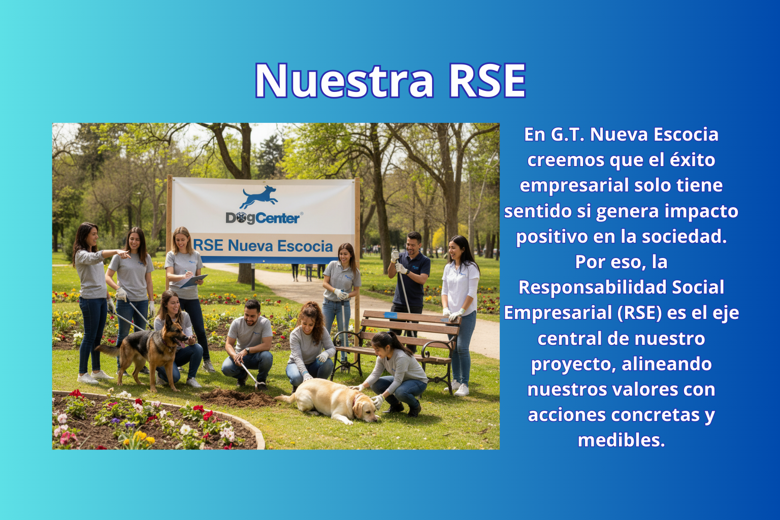 Escena del material de RSE: personas y perros en un parque